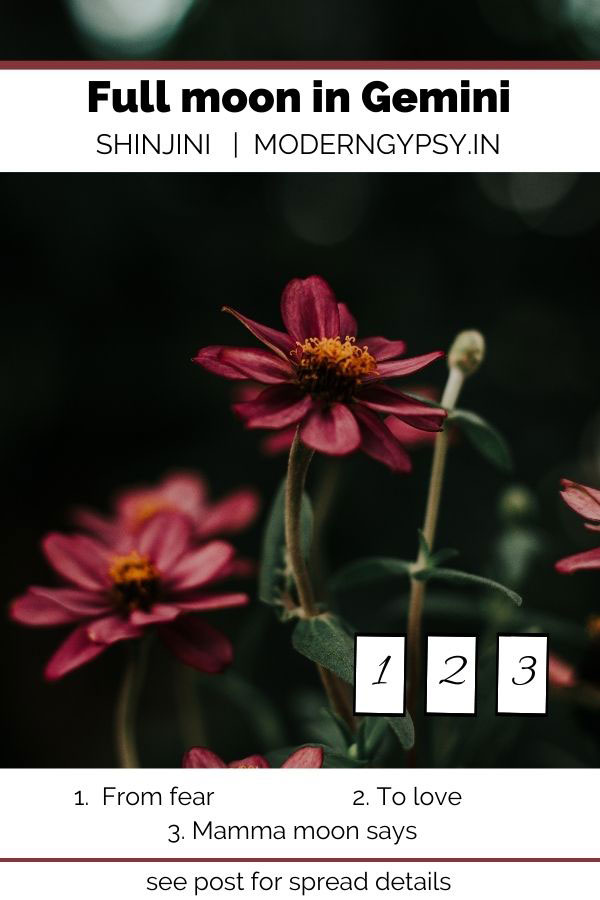 December 2025: Tarot spread for the full moon in Gemini - Modern Gypsy