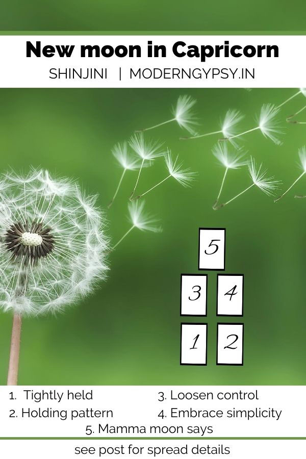 January 2026: Tarot spread for the new moon in Capricorn - Modern Gypsy